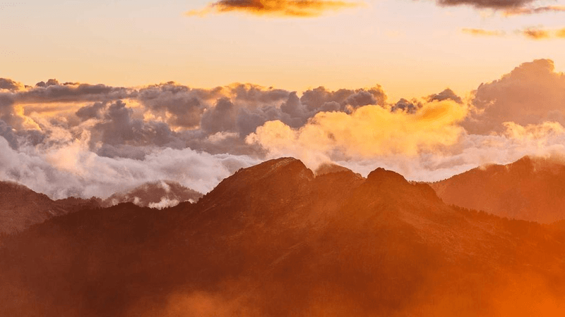 Backpack - professional stock photography
