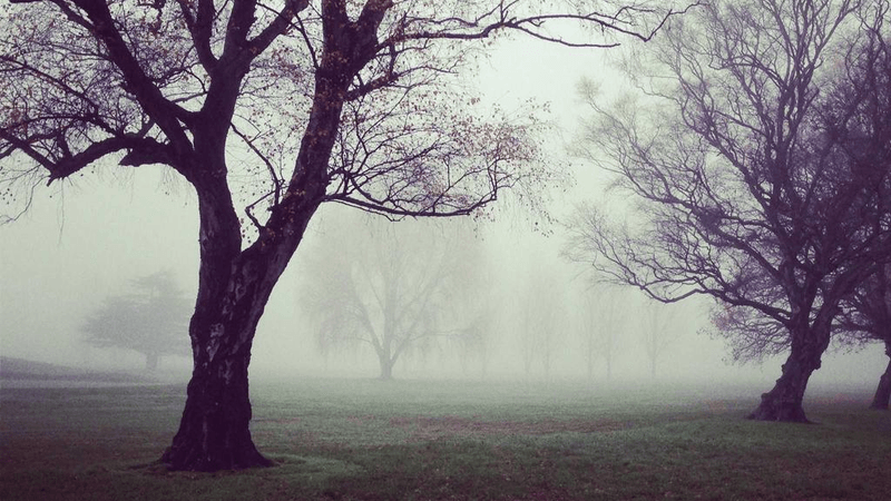 Backpack - professional stock photography