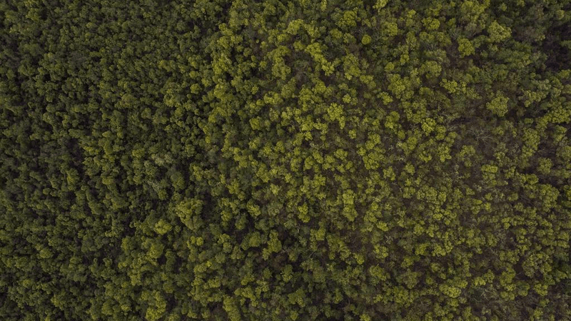 Bridge - professional stock photography