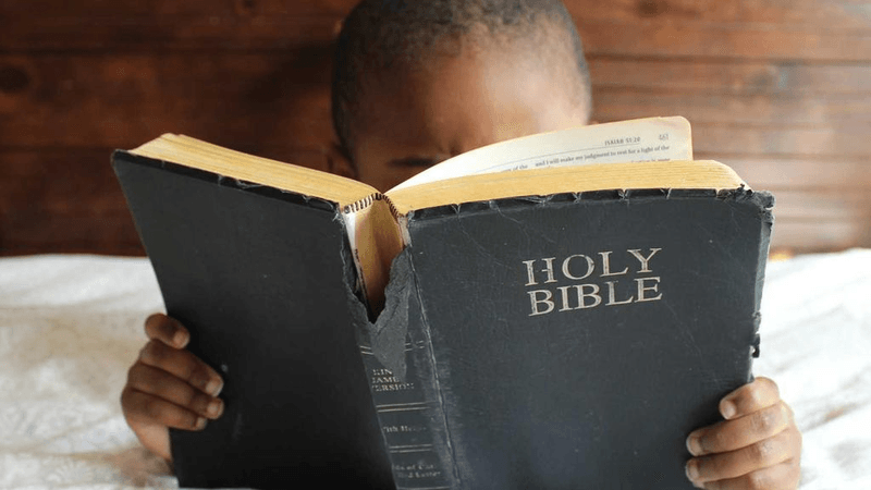 Campfire - professional stock photography