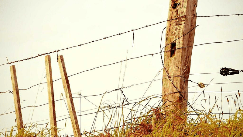 Castle - professional stock photography