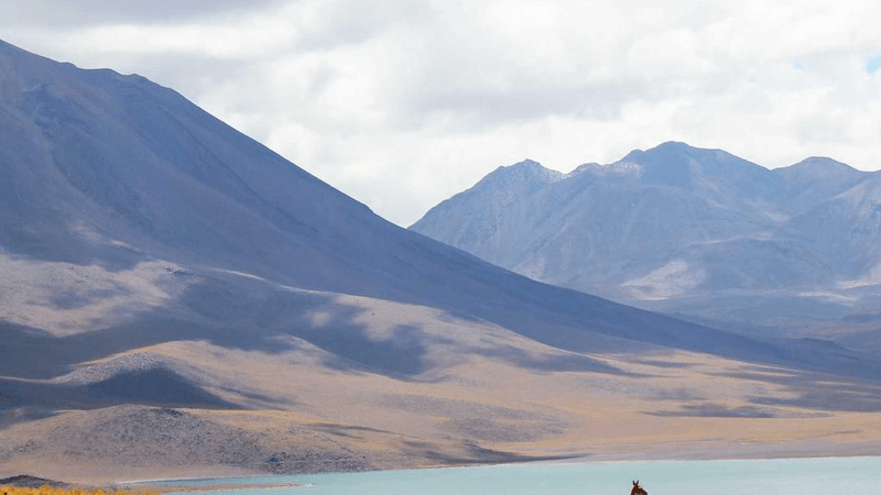 Castle - professional stock photography