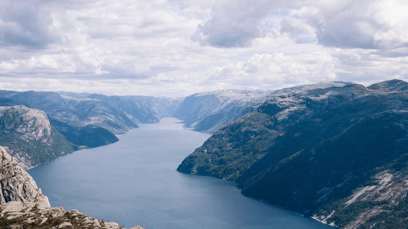 Forest - professional stock photography