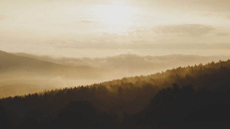 Island - professional stock photography