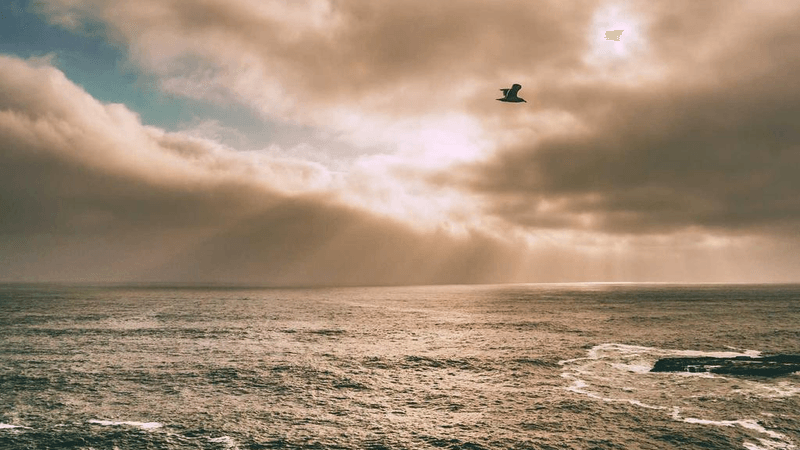 Island - professional stock photography