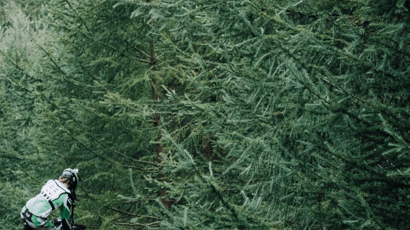 Passport - professional stock photography